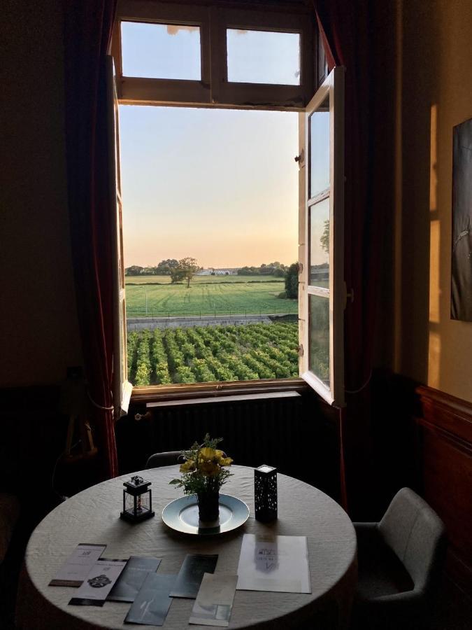 Hotel Particulier Chateau Des Marais Proximite Et Vue Sur Le Lac De Grand Lieu Saint-Philbert-de-Grand-Lieu Eksteriør billede